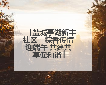 盐城亭湖新丰社区：粽香传情迎端午 共建共享促和谐