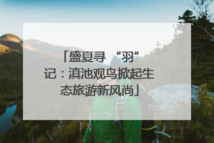盛夏寻 “羽” 记：滇池观鸟掀起生态旅游新风尚