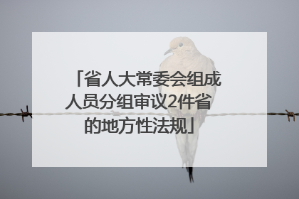 省人大常委会组成人员分组审议2件省的地方性法规