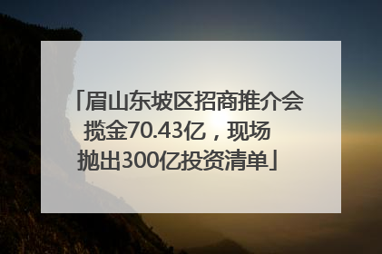 眉山东坡区招商推介会揽金70.43亿，现场抛出300亿投资清单