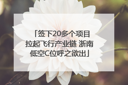 签下20多个项目 拉起飞行产业链 浙南低空C位呼之欲出