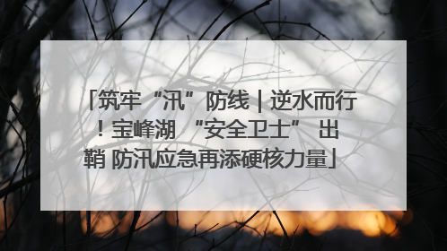 筑牢“汛”防线｜逆水而行！宝峰湖 “安全卫士” 出鞘 防汛应急再添硬核力量