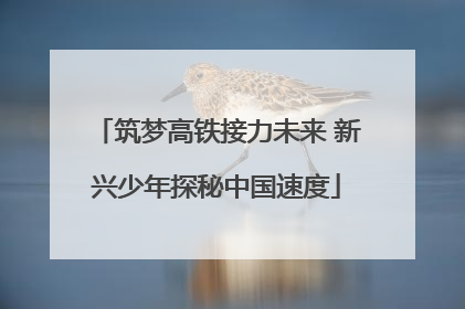 筑梦高铁接力未来 新兴少年探秘中国速度