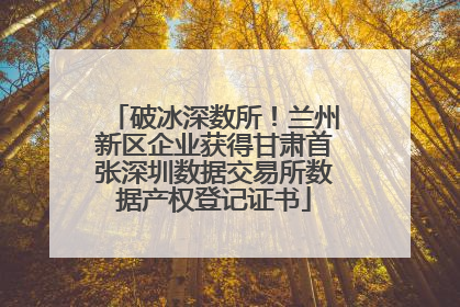 破冰深数所！兰州新区企业获得甘肃首张深圳数据交易所数据产权登记证书