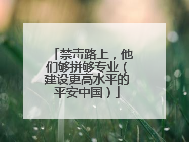 禁毒路上，他们够拼够专业（建设更高水平的平安中国）