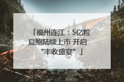 福州连江：5亿粒夏鲍陆续上市 开启“丰收盛宴”