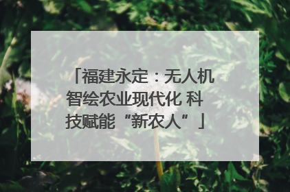 福建永定：无人机智绘农业现代化 科技赋能“新农人”