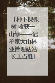 种下棵棵树 收获一山绿——记牟家大山林业管理站站长王占胜