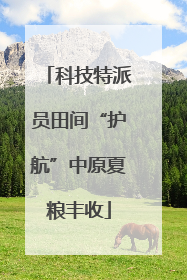 科技特派员田间“护航”中原夏粮丰收