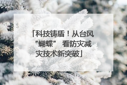 科技铸盾！从台风“蝴蝶” 看防灾减灾技术新突破