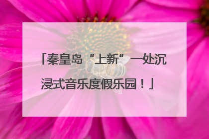 秦皇岛“上新”一处沉浸式音乐度假乐园！