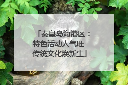 秦皇岛海港区：特色活动人气旺 传统文化焕新生