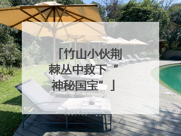 竹山小伙荆棘丛中救下“神秘国宝”