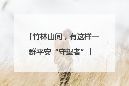 竹林山间，有这样一群平安“守望者”