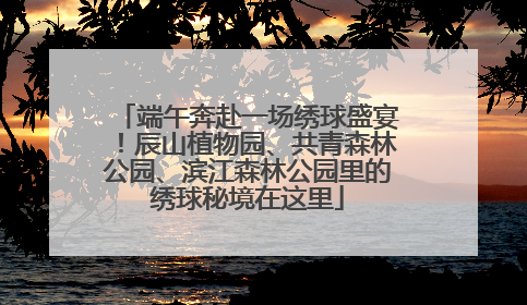 端午奔赴一场绣球盛宴！辰山植物园、共青森林公园、滨江森林公园里的绣球秘境在这里