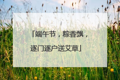 端午节，粽香飘，逐门逐户送艾草