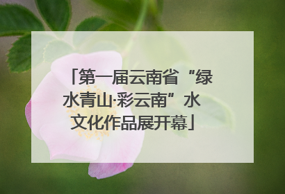第一届云南省“绿水青山·彩云南”水文化作品展开幕