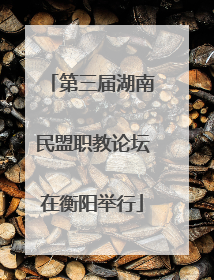 第三届湖南民盟职教论坛在衡阳举行