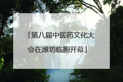 第八届中医药文化大会在潍坊临朐开幕