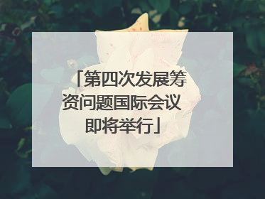 第四次发展筹资问题国际会议即将举行
