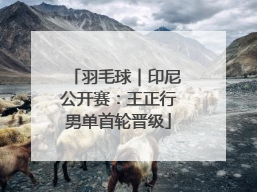 羽毛球｜印尼公开赛：王正行男单首轮晋级