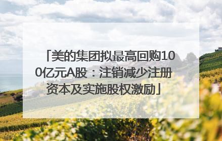 美的集团拟最高回购100亿元A股：注销减少注册资本及实施股权激励