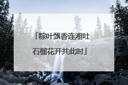 粽叶飘香连湘吐 石榴花开共此时