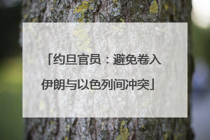 约旦官员：避免卷入伊朗与以色列间冲突