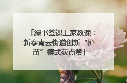 绿书签遇上家教课：新泰青云街道创新“护苗”模式获点赞