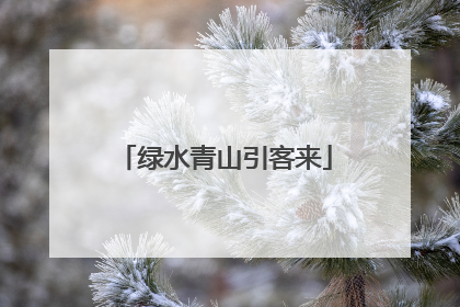 绿水青山引客来