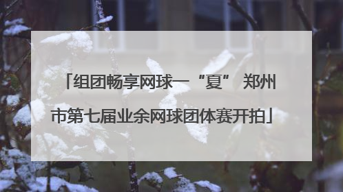 组团畅享网球一“夏” 郑州市第七届业余网球团体赛开拍