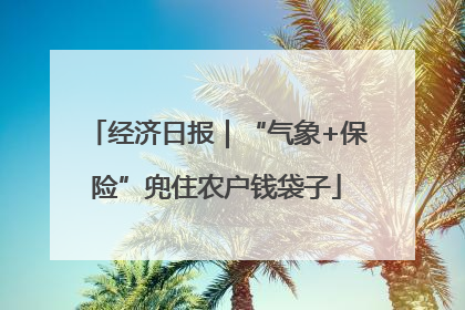 经济日报｜“气象+保险”兜住农户钱袋子