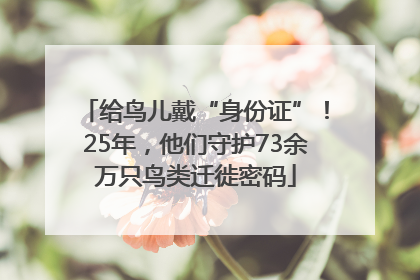 给鸟儿戴“身份证”!25年,他们守护73余万只鸟类迁徙密码
