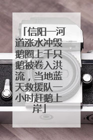 信阳一河道涨水冲毁鹅圈上千只鹅被卷入洪流，当地蓝天救援队一小时赶鹅上岸