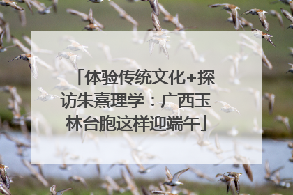 体验传统文化+探访朱熹理学：广西玉林台胞这样迎端午