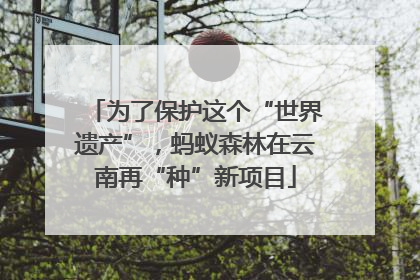 为了保护这个“世界遗产”，蚂蚁森林在云南再“种”新项目