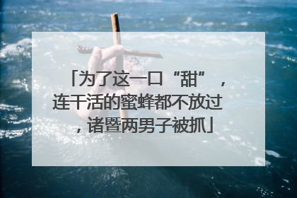 为了这一口“甜”，连干活的蜜蜂都不放过，诸暨两男子被抓