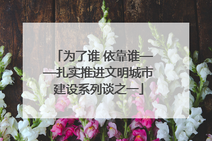 为了谁 依靠谁——扎实推进文明城市建设系列谈之一