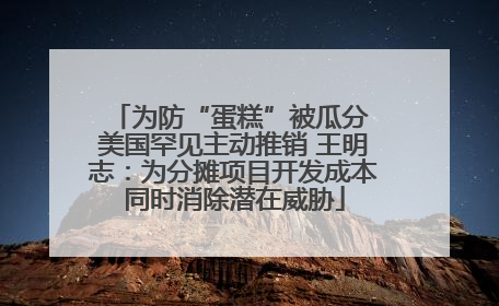 为防“蛋糕”被瓜分 美国罕见主动推销 王明志：为分摊项目开发成本同时消除潜在威胁