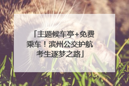 主题候车亭+免费乘车!滨州公交护航考生逐梦之路