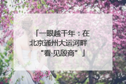 一眼越千年：在北京通州大运河畔“看·见殷商”