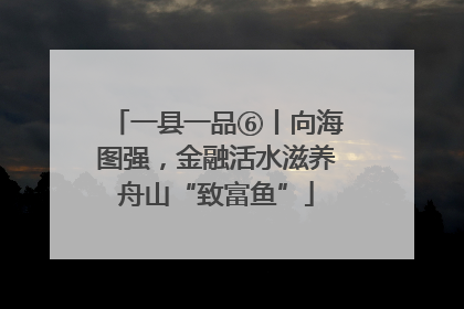 一县一品⑥丨向海图强，金融活水滋养舟山“致富鱼”