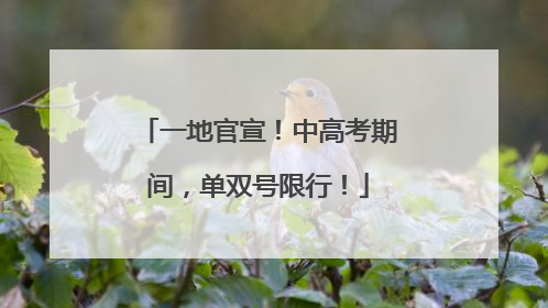 一地官宣！中高考期间，单双号限行！