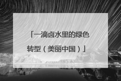 一滴卤水里的绿色转型（美丽中国）