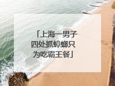 上海一男子四处抓蟑螂只为吃霸王餐