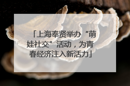 上海奉贤举办“萌娃社交”活动，为青春经济注入新活力