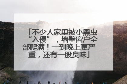 不少人家里被小黑虫“入侵”，墙壁窗户全部爬满！一到晚上更严重，还有一股臭味