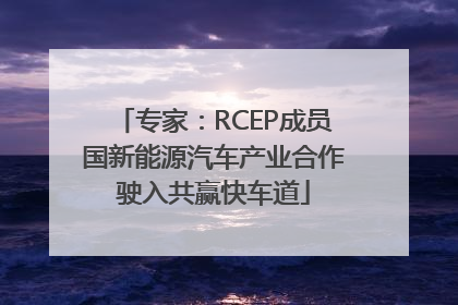 专家：RCEP成员国新能源汽车产业合作驶入共赢快车道