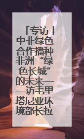 专访丨中非绿色合作播种非洲“绿色长城”的未来——访毛里塔尼亚环境部长拉格达夫