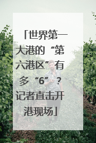 世界第一大港的“第六港区”有多“6”？记者直击开港现场